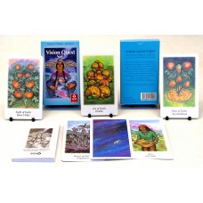 Vision Quest Tarot by AG Muller