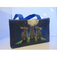 Moon shadows eco lunch bag